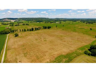 Tract 9 - LARGE KENTUCKY LAND AUCTION - 633+/- CONTIGUOUS ACRES IN 12 TRACTS IN HART COUNTY, KY